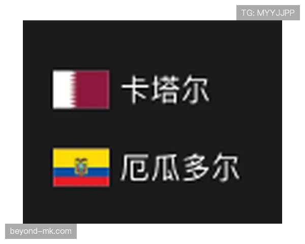 厄瓜多尔世界杯征程全面解析